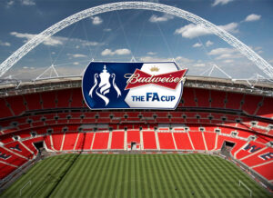 fa-cup-bud-2013