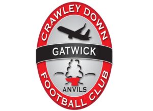 crawley-down-fc-new-logo
