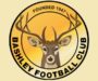 Bashley appoint new manager and chairman