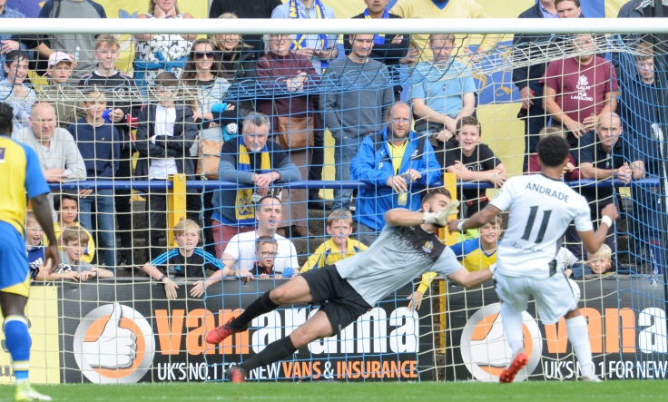 english-spinger-spanial