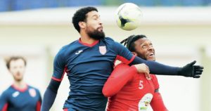 Project Swans flourishing