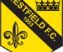 Ian Selley resigns as Westfield manager after successful spell