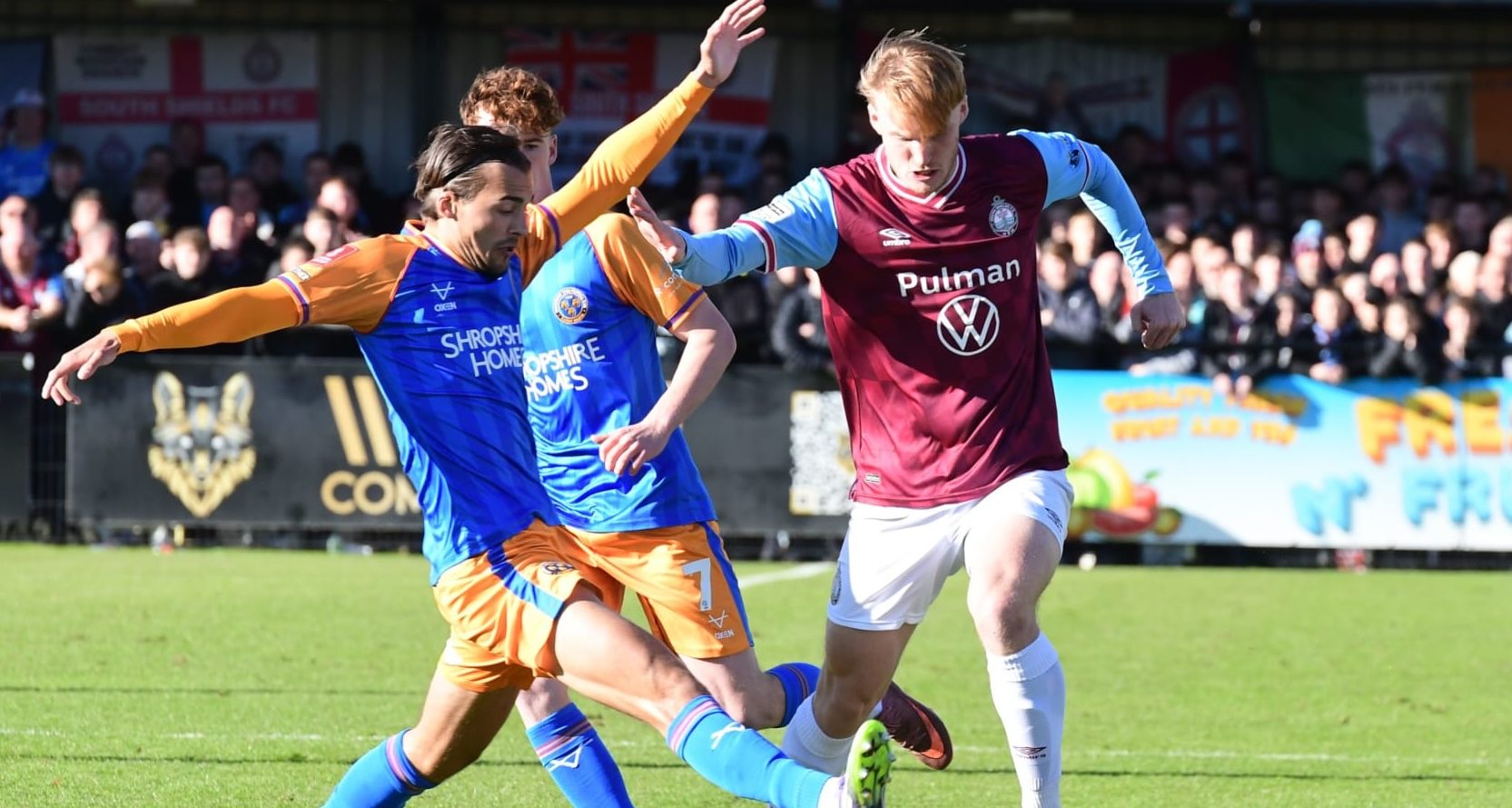 South Shields fell to a 3-1 defeat in their FA Cup first round tie with League Two club Shrewsbury Town