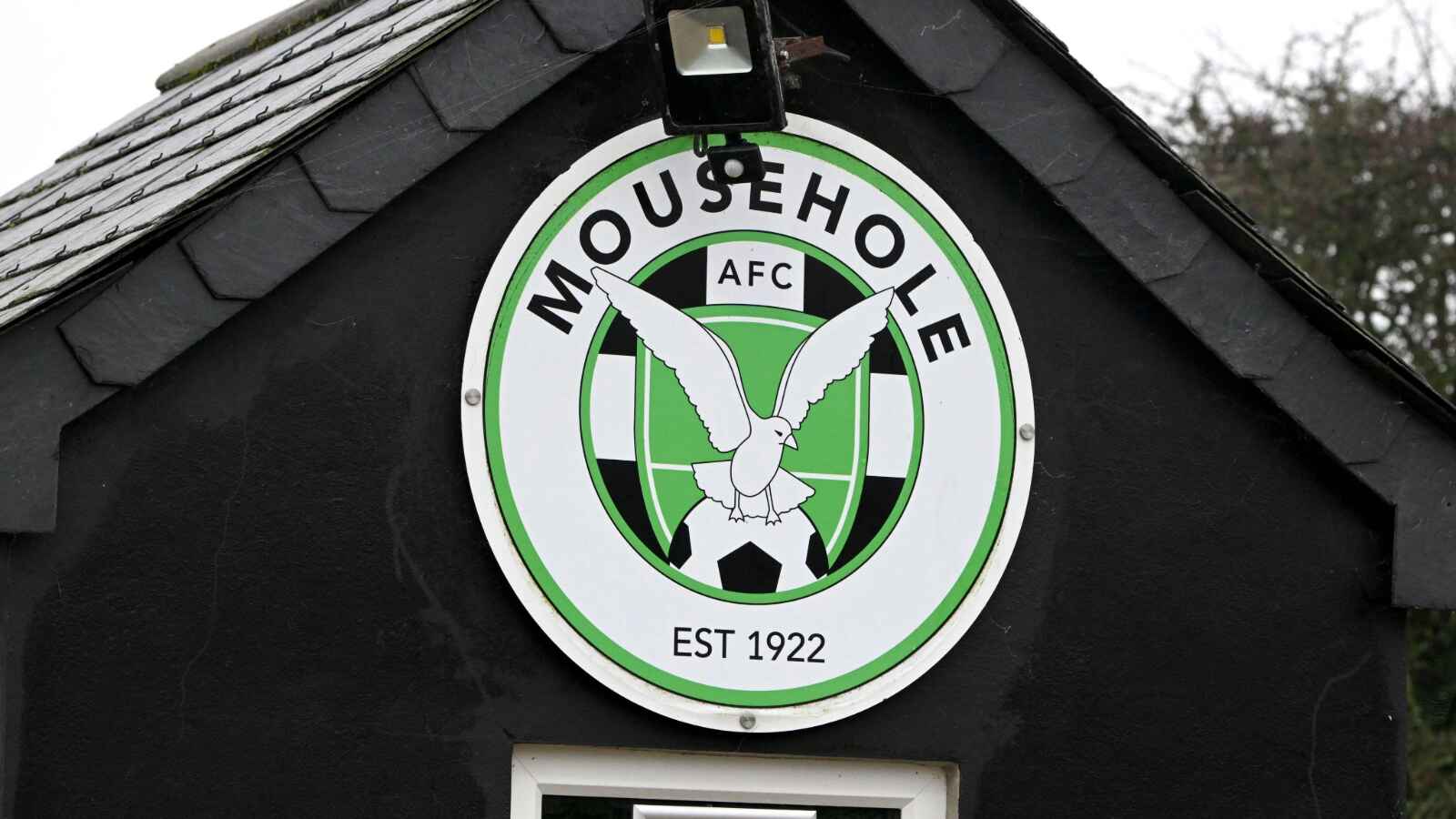 Mousehole AFC have applied for voluntary relegation from the Southern League