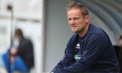 Neal Ardley has joined Walton & Hersham as their new director of football.